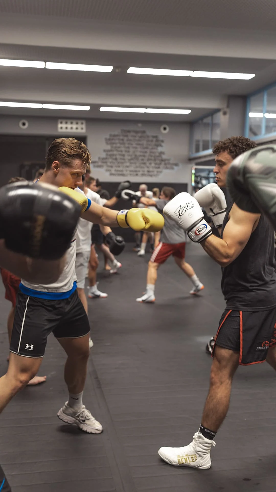 Boxer trifft mit dem Jab die Pratze seines Trainingspartners